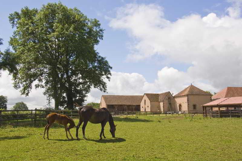 Chateau D'Ygrande - Teritoria Buitenkant foto